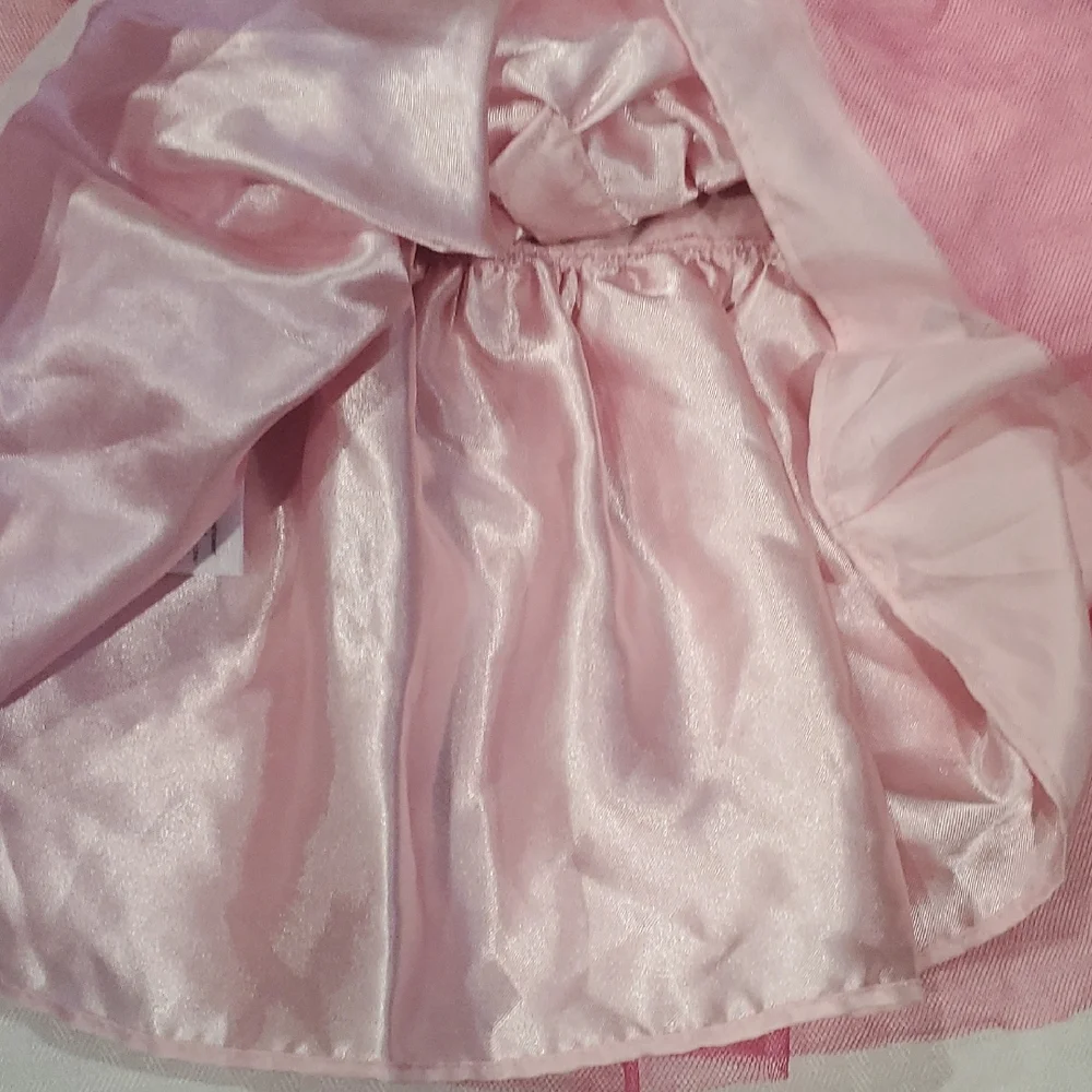 Sweet Heart Rose Pink Floral Tulle Party Dress Size 12M